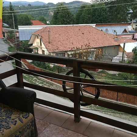 ホテル Casa Paltinu Lunca Mare 部屋 写真