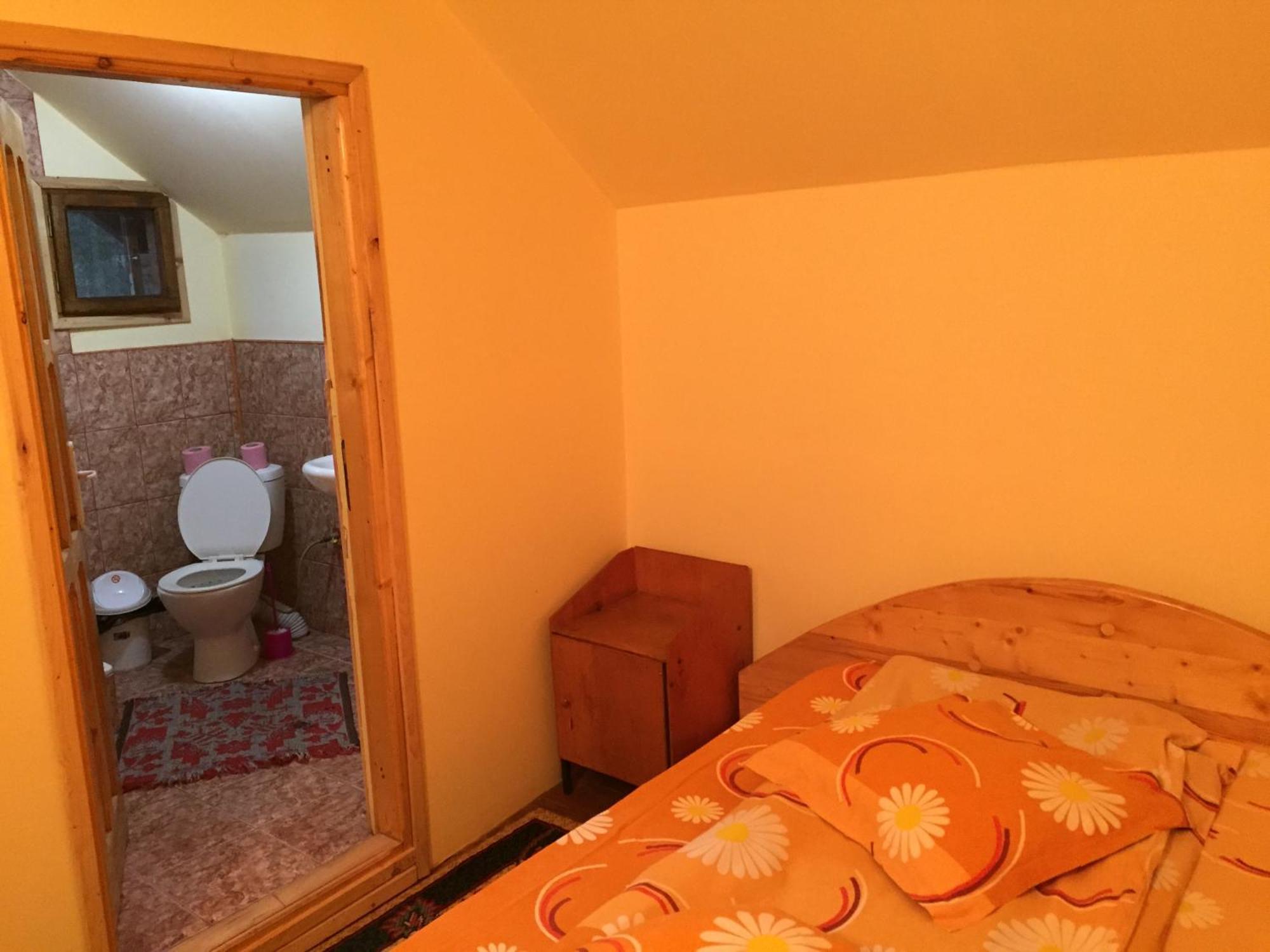 ホテル Casa Paltinu Lunca Mare 部屋 写真