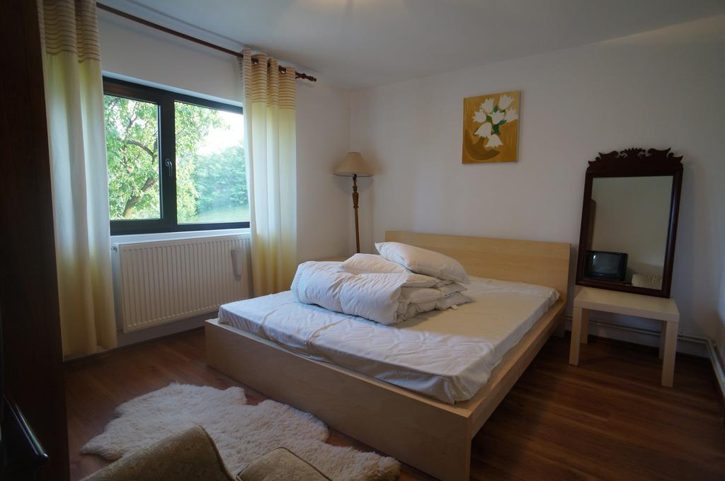 ホテル Casa Paltinu Lunca Mare 部屋 写真