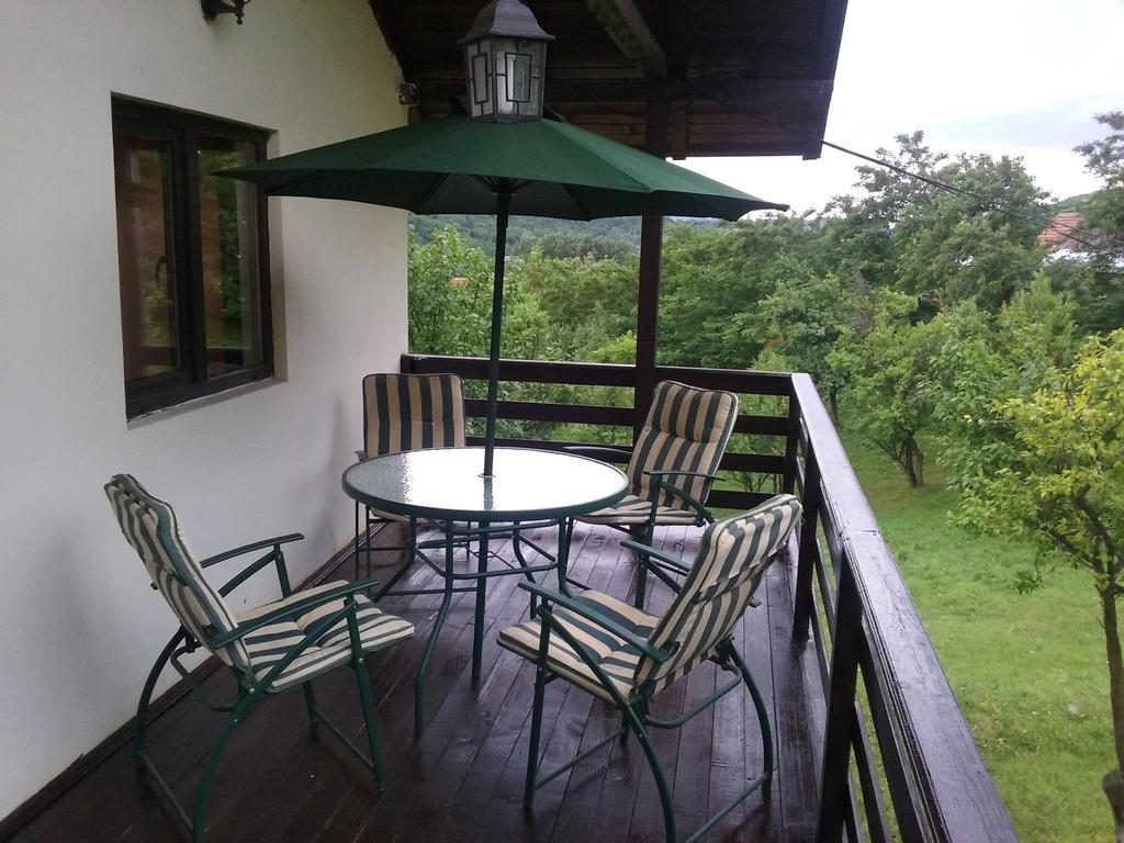 ホテル Casa Paltinu Lunca Mare エクステリア 写真